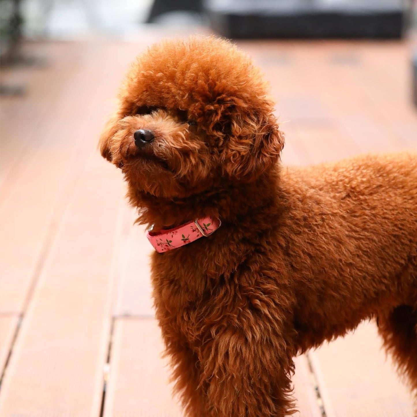 Chic Floral Dog Collar - Stylish and Comfortable for Your Furry Friend