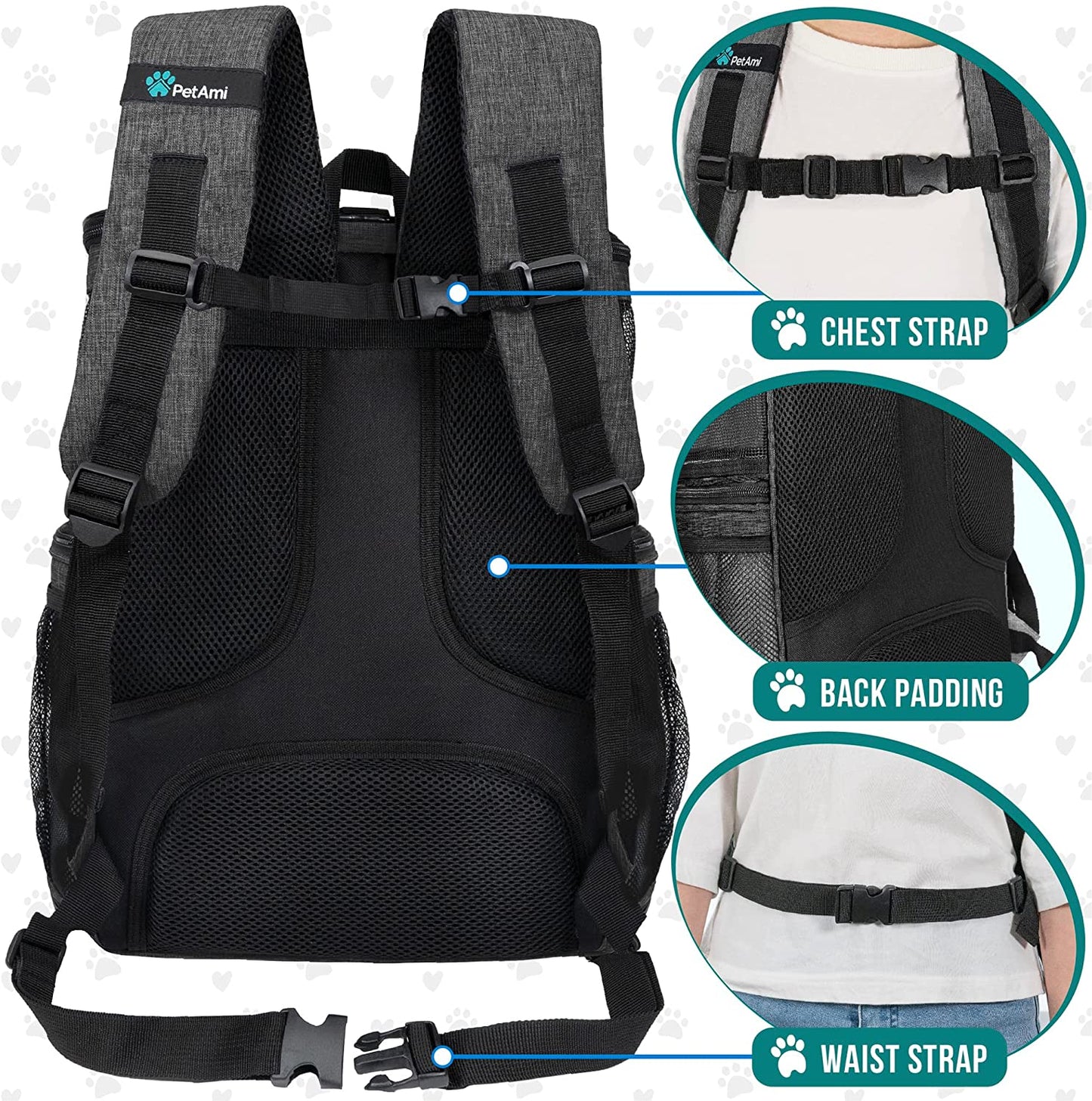 Airline Approved Dog Backpack Carrier - 4-Way Entry Cat Backpack with Ventilated Mesh, Collapsible Design for Small Pets (up to 18 lbs) - Perfect for Hiking, Travel, and Vet Visits - Charcoal Gray