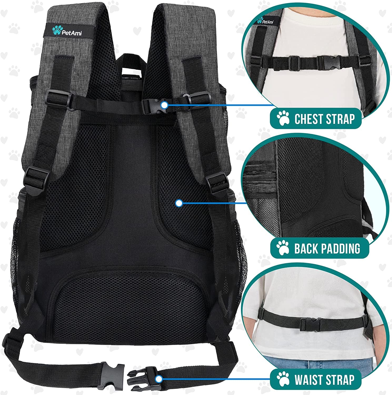 Airline Approved Dog Backpack Carrier - 4-Way Entry Cat Backpack with Ventilated Mesh, Collapsible Design for Small Pets (up to 18 lbs) - Perfect for Hiking, Travel, and Vet Visits - Charcoal Gray