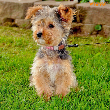 Chic Floral Dog Collar - Stylish and Comfortable for Your Furry Friend